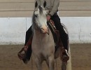 zaiden undersaddle with dale